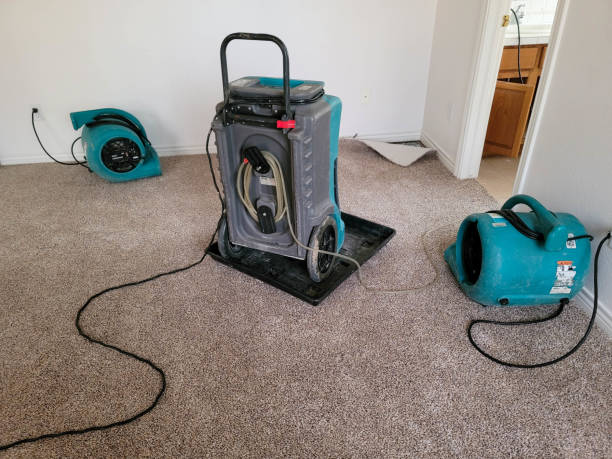 Best Water damage cleanup near me  in Hamilton, TX