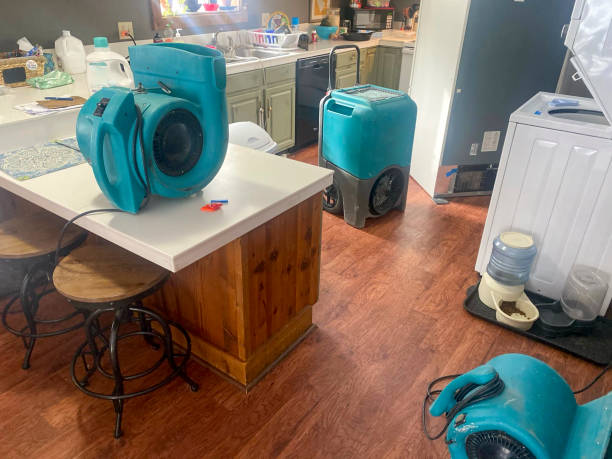 Best Professional water damage repair  in Hamilton, TX