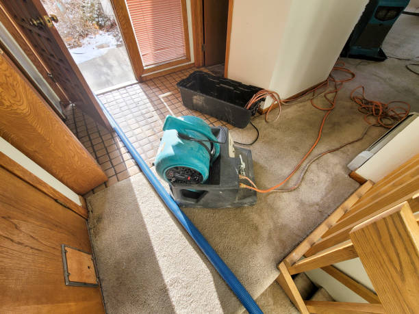 Best Water damage contractors near me  in Hamilton, TX