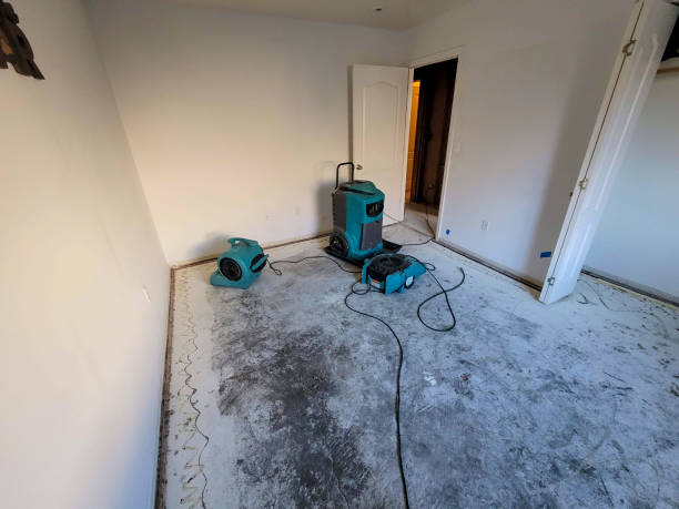 Best Flooded house restoration  in Hamilton, TX