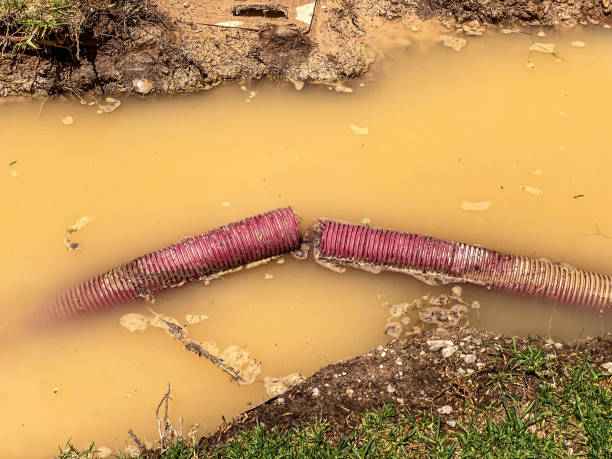 Best Water damage repair service  in Hamilton, TX