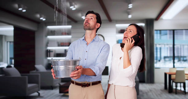 Best Flood restoration services  in Hamilton, TX